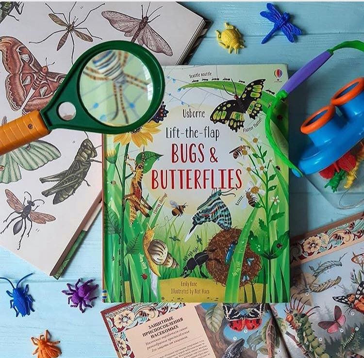 Usborne's Lift-the-flap Bugs & Butterflies