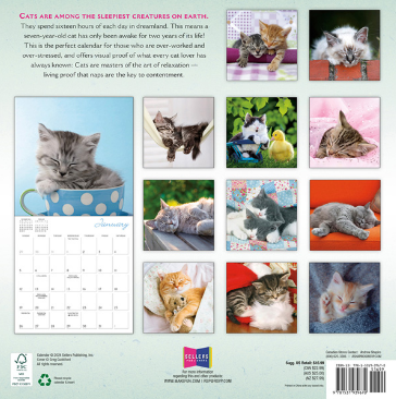 2025 16 Month Cat Naps Wall Calendar