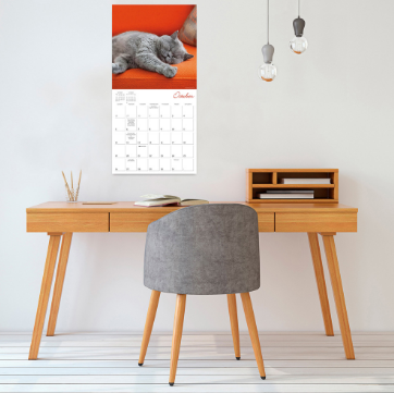 2025 16 Month Cat Naps Wall Calendar