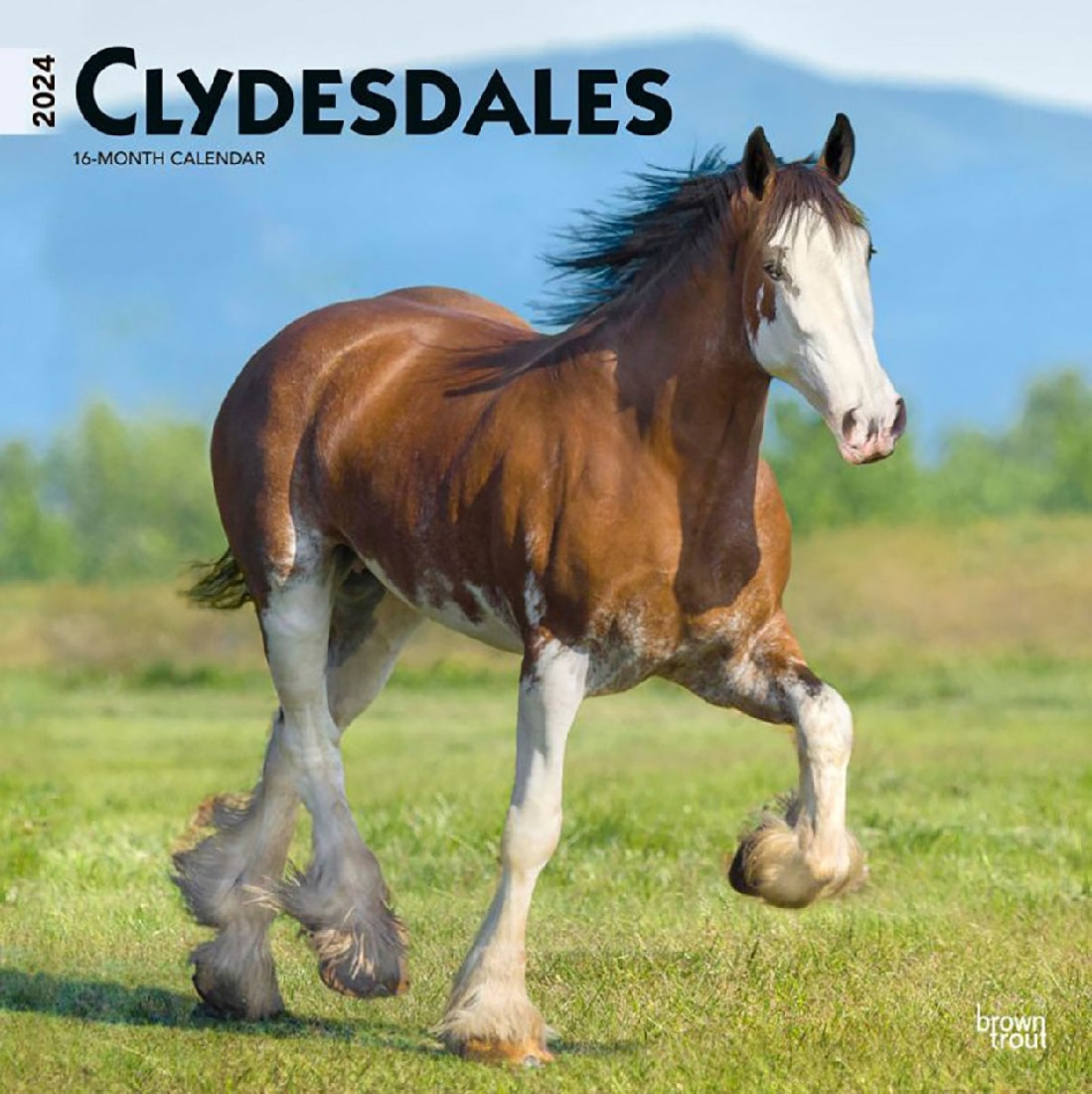 2024 Clydesdales Calendar