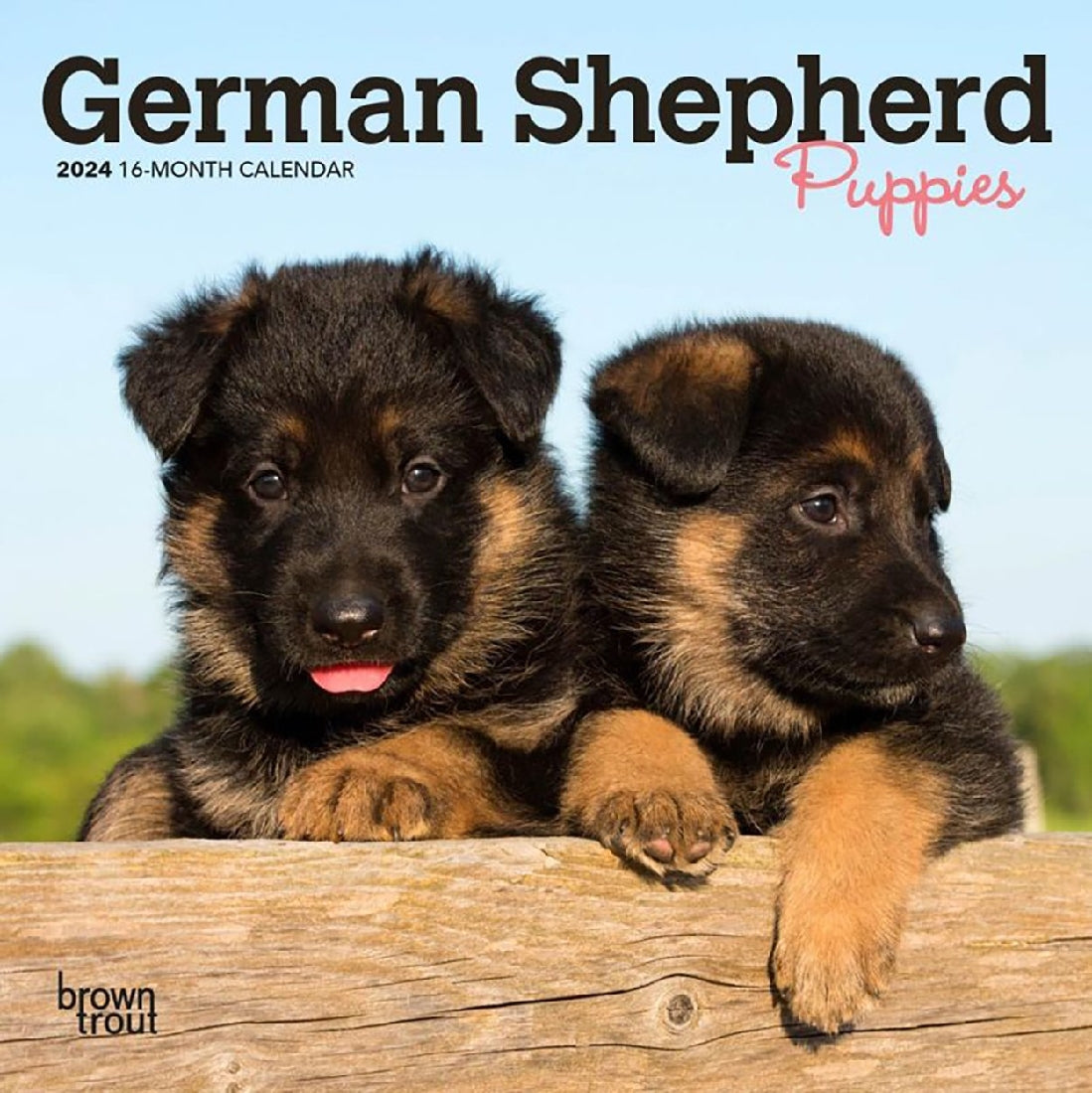 2024 German Shepherd Puppies Mini Calendar