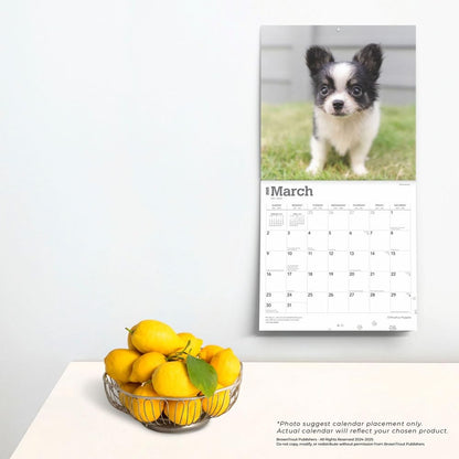 2025 16 Month Chihuahua Puppies Wall Calendar