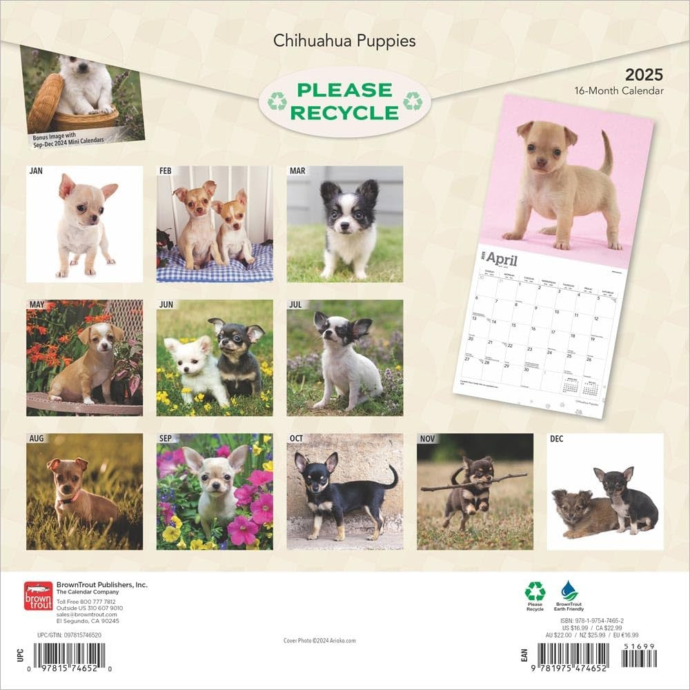 2025 16 Month Chihuahua Puppies Wall Calendar