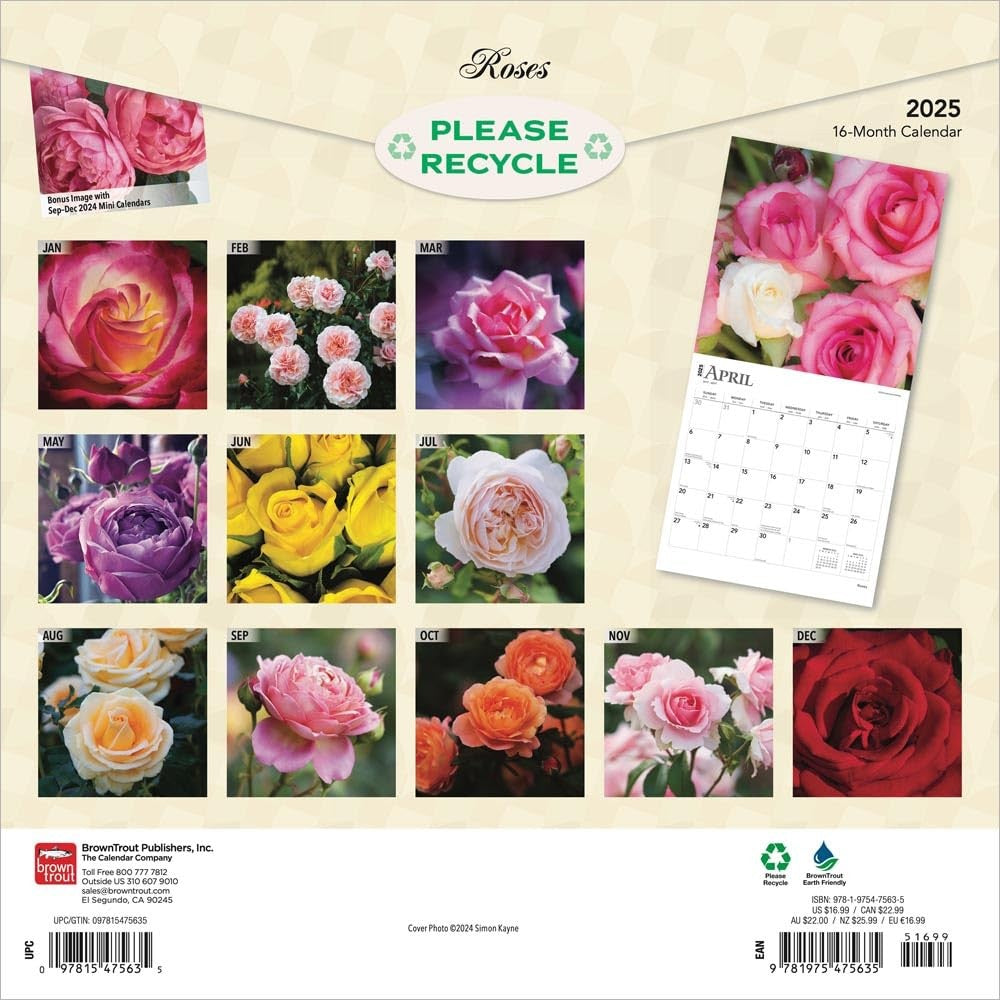 2025 16 Month Roses Wall Calendar