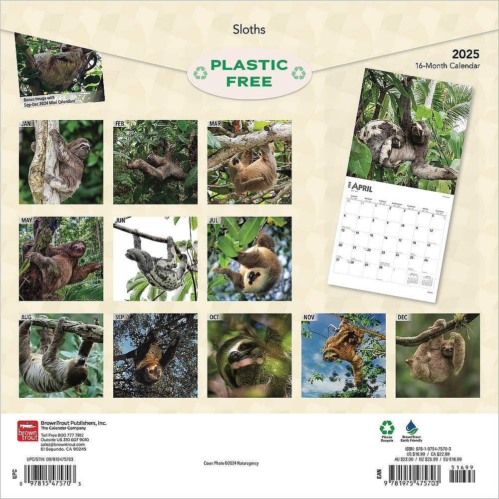 2025 16 Month Sloths Wall Calendar