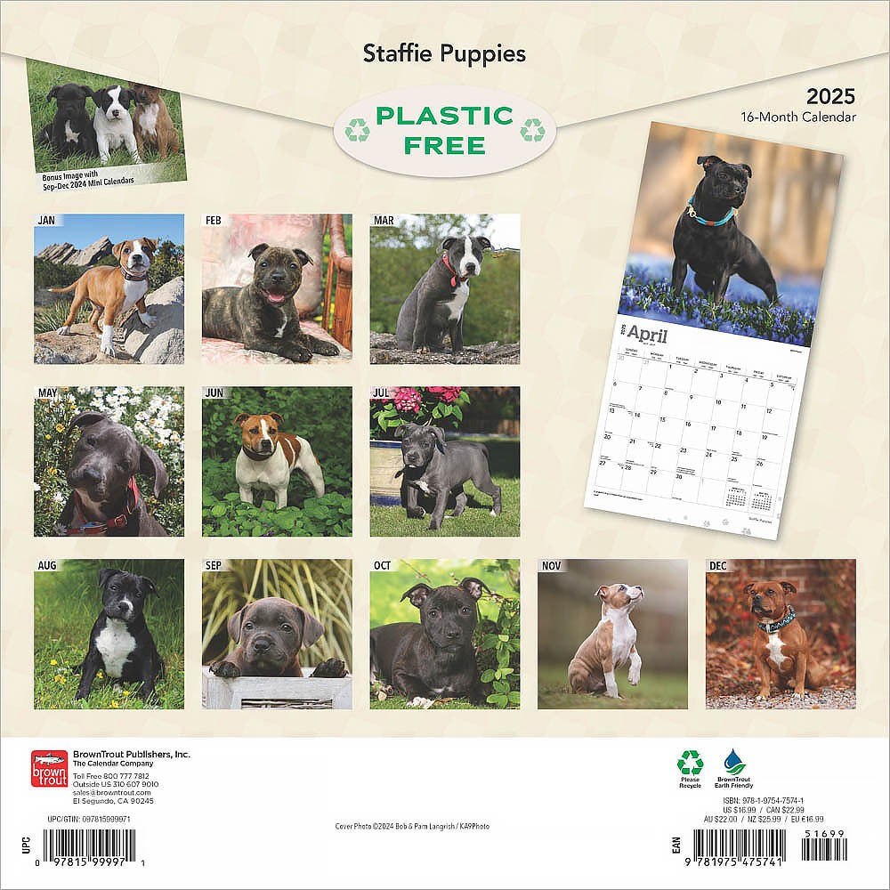 2025 16 Month Staffie Puppies Wall Calendar