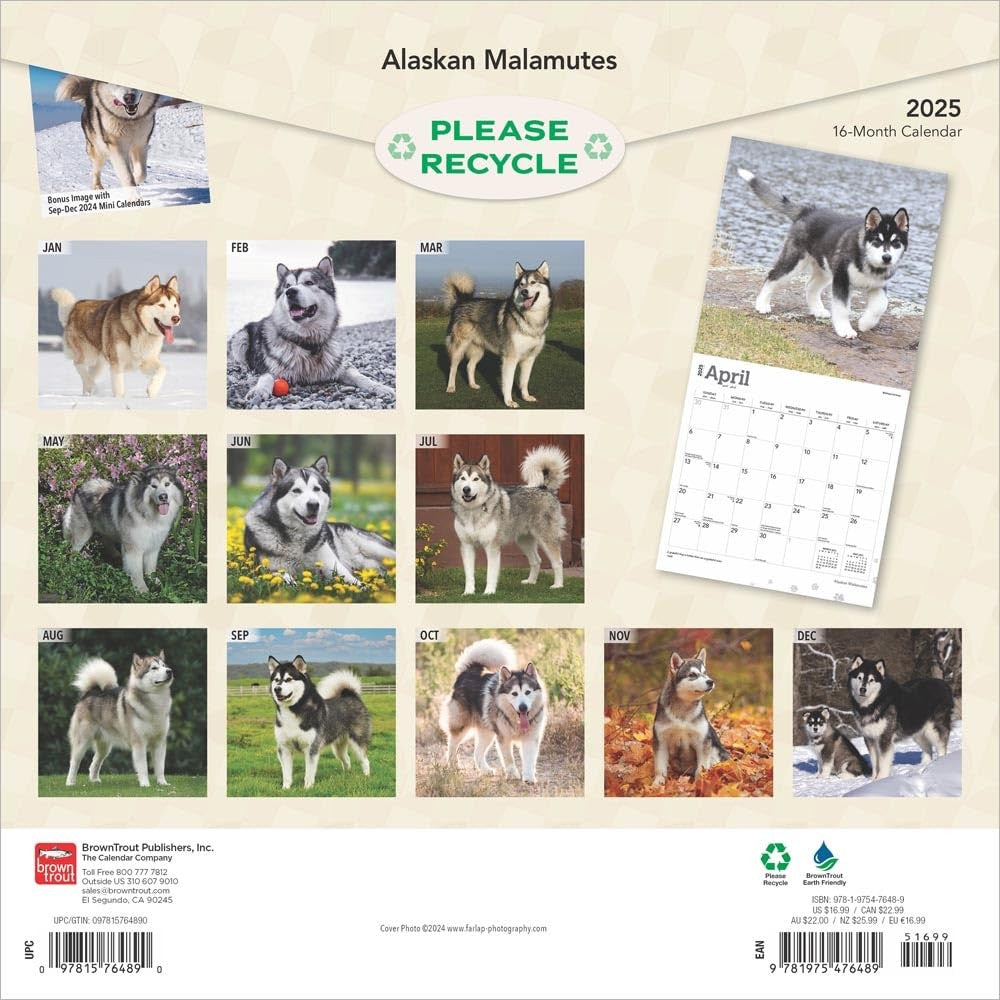 2025 16 Month Alaskan Malamutes Wall Calendar