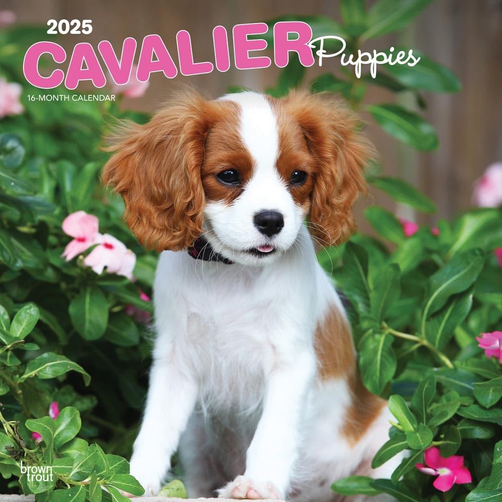 2025 16 Month Cavalier Puppies Wall Calendar