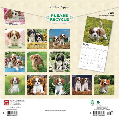 2025 16 Month Cavalier Puppies Wall Calendar