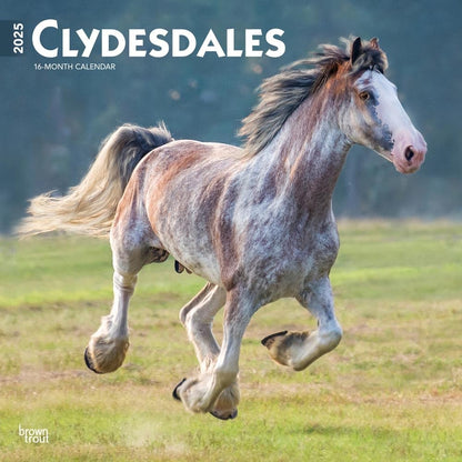 2025 16 Month Clydesdales Wall Calendar