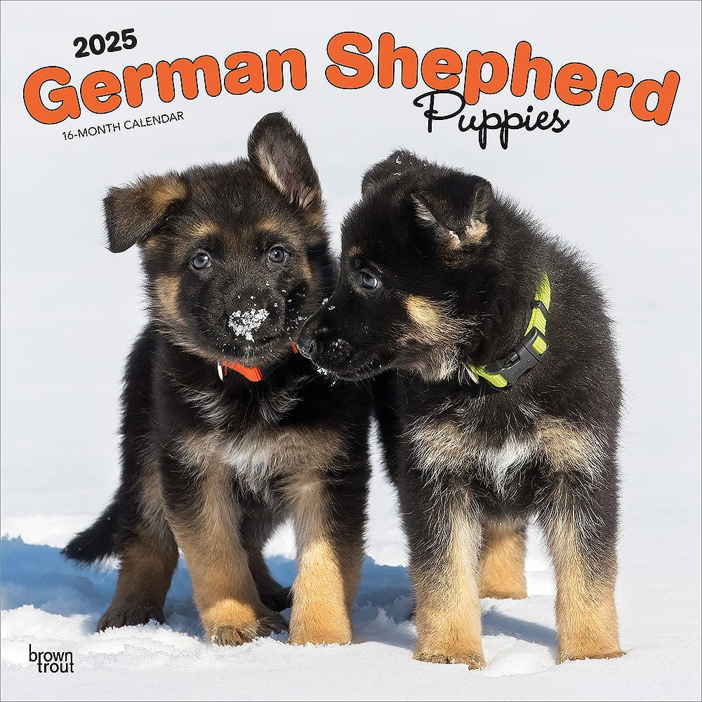 2025 16 Month German Shepherd Puppies Wall Calendar