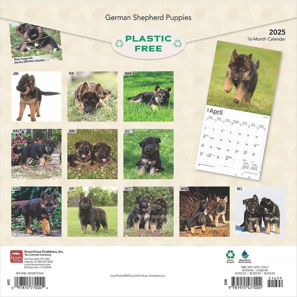 2025 16 Month German Shepherd Puppies Wall Calendar