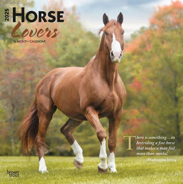 2025 16 Month Horse Lovers Wall Calendar