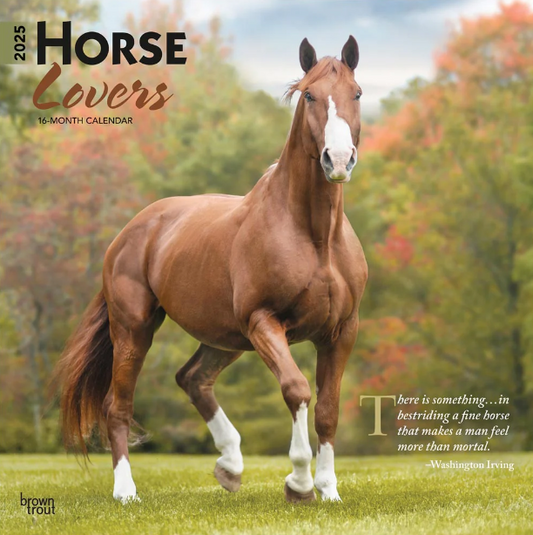 2025 16 Month Horse Lovers Wall Calendar