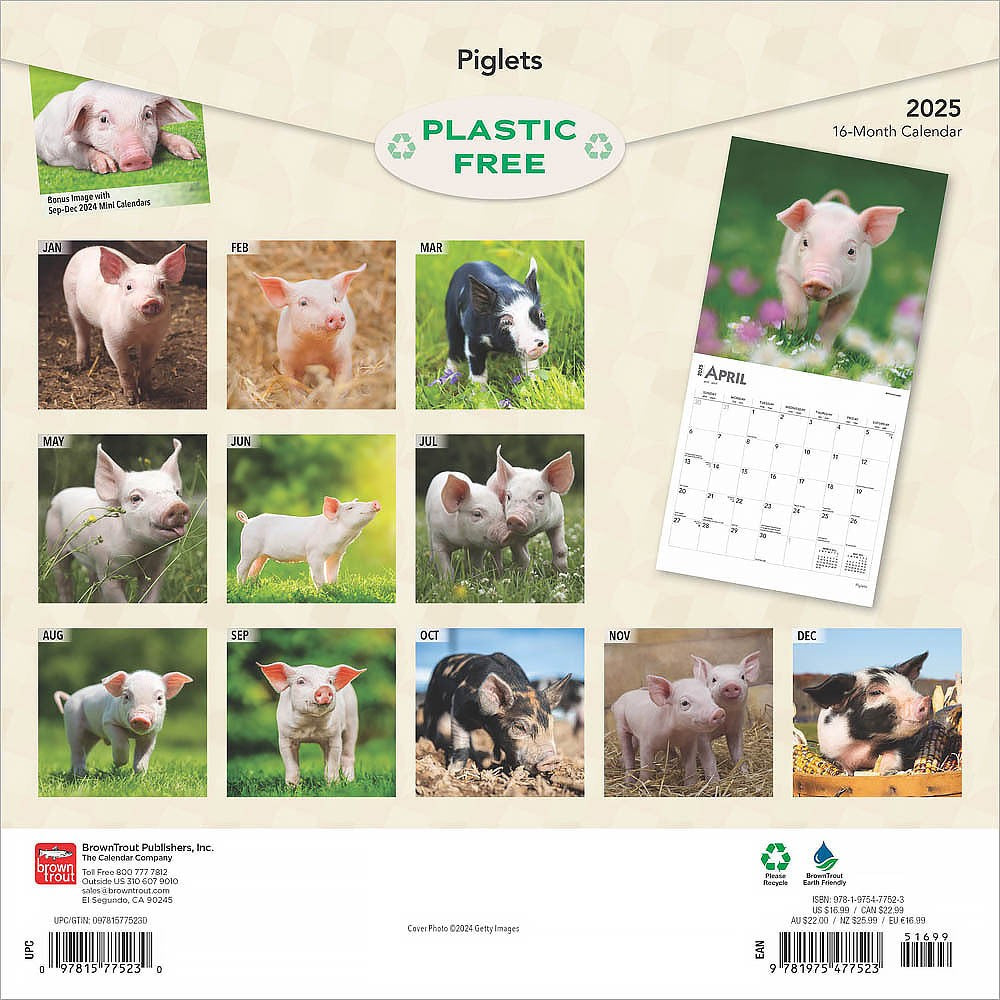 2025 16 Month Piglets Wall Calendar