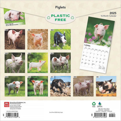 2025 16 Month Piglets Wall Calendar