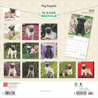 2025 16 Month Pug Puppies Wall Calendar