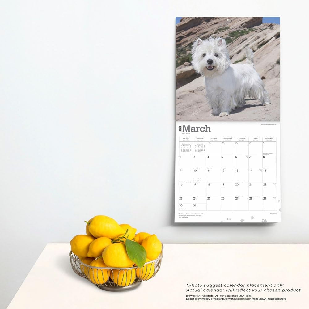 2025 16 Month Westies Wall Calendar