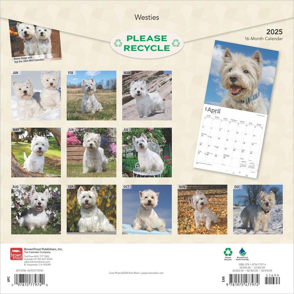 2025 16 Month Westies Wall Calendar