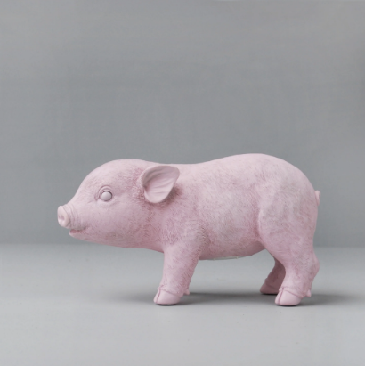 Pig Money Bank