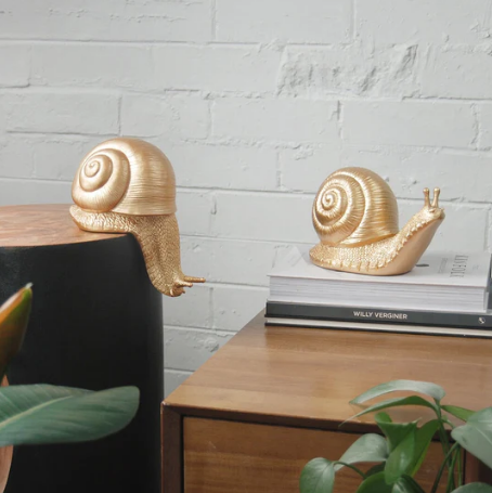 Table Snail