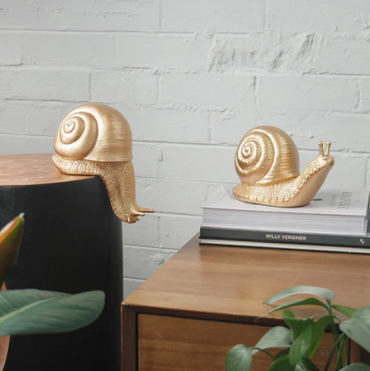 Table Snail