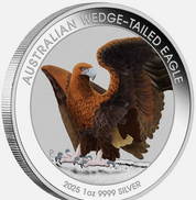 Australian Wedge-tailed Eagle 2025 1oz Silver