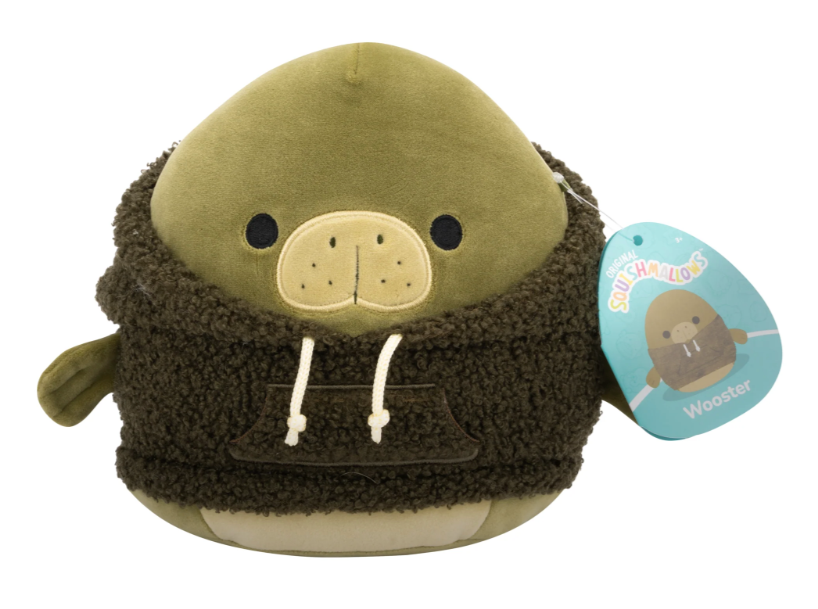 Squishmallow Wooster