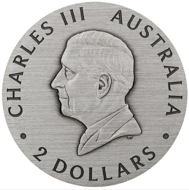 Honey Bee 2025 2oz Silver Antiqued Coloured Coin