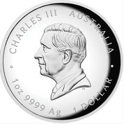 Australian Lunar Series Iii 2026 Year Of The Horse 1oz Silver Proof Coin