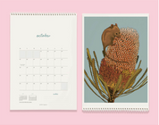 2026 FRANKIE CALENDAR