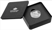 Year Of The Horse 2026 $5 Fine Silver Proof Domed Coin
