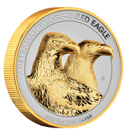 Australian Wedge-tailed Eagle 2026 5oz Silver Enhanced Reverse Proof Ultra High Relief Gilded Coin