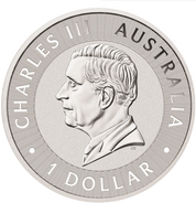 Sundowner Red Kangaroo 2026 1oz Silver Coloured Coin In Card