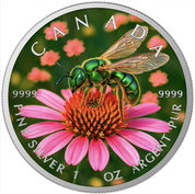 Sweat Bee 2026 Canada Maple Leaf 1oz Silver Coin